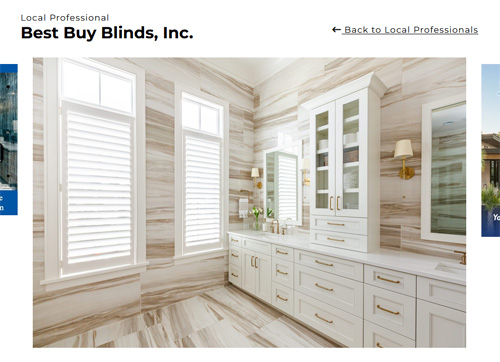 Best Buy Blinds