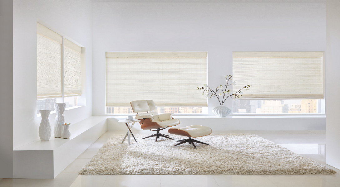 The image shows a modern living room with a large window, blinds partially drawn, and a contemporary interior design featuring a white sofa, a rug, a coffee table, a floor lamp, and a chair.